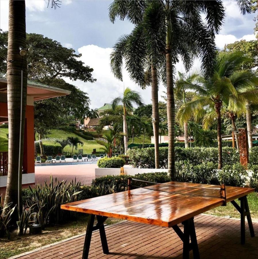 Villa Angela 普拉亚布兰卡 外观 照片